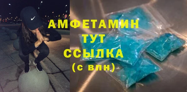 индика Белокуриха