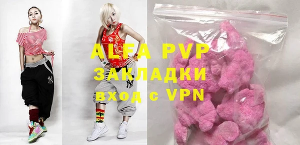 индика Белокуриха