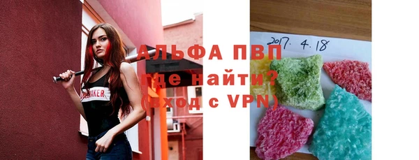 индика Белокуриха