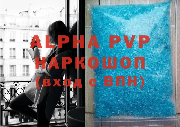 индика Белокуриха