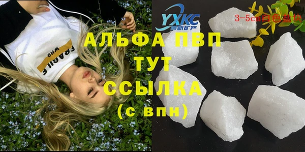 индика Белокуриха