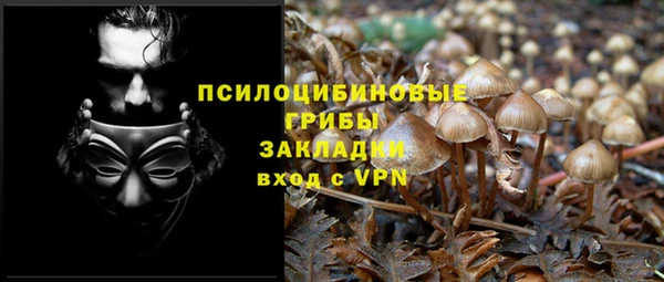 индика Белокуриха