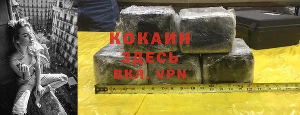 индика Белокуриха