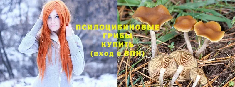 Псилоцибиновые грибы Magic Shrooms  наркота  Дагестанские Огни 