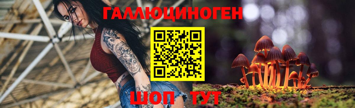 Дагестанские Огни  Псилоцибиновые грибы мухоморы  Вход с VPN 